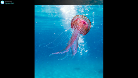 【睡眠用BGM・環境音】　-　水中　/　BGM for ***** and Environmental Sound - Underwater