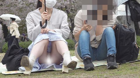公園パンチラ２０　絶景かな…ずーっと開脚しっ放しでフロント部分丸見えのお花見客