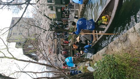 春の高瀬川