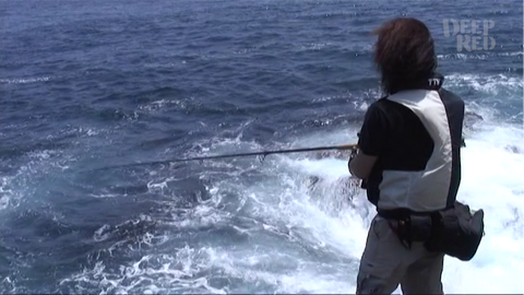 怪奇ミステリーファイル　珍魚**