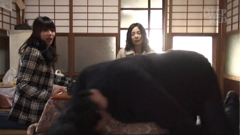 パラノーマルサイキック 呪
