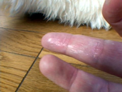 ◆顔出し個人撮影◆26歳OLの締まりの良いオマンコ◆くぱぁ・クリ剥き・指挿れ
