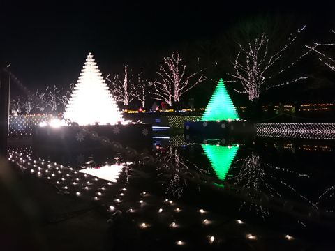 夜景　イルミネーション④