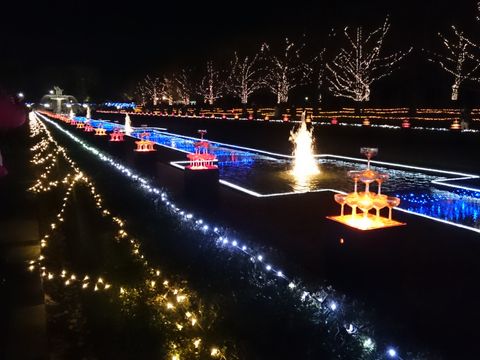 夜景　すばらしいイルミネーション⑤
