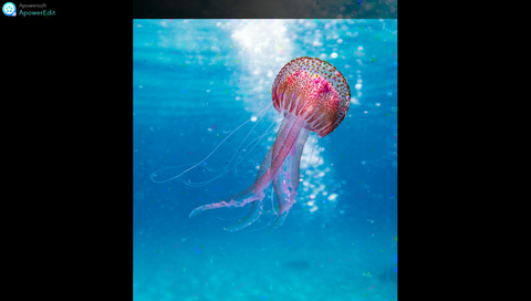 【睡眠用BGM・環境音】　-　水中　/　BGM for ***** and Environmental Sound - Underwater