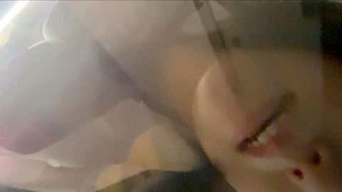 **見学鑑賞会