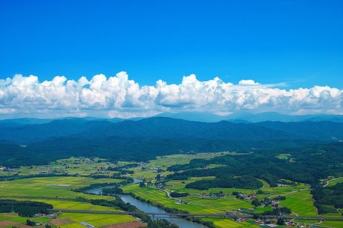 癒しの風景