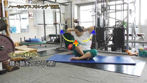 ﾊｰﾓﾆｱｽｽﾄﾚｯﾁ‘胡座（あぐら）,(Y210522UP)