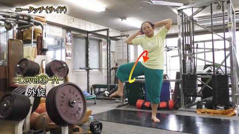 ﾆｰﾀｯﾁ（ｻｲﾄﾞ）(Y210904UP)