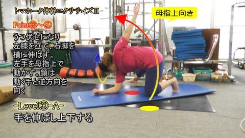 ﾄﾏﾎｰｸ体幹ｴｸｻｻｲｽﾞⅡ(Y210424UP)