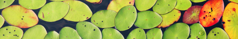 test01