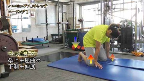 ﾊｰﾓﾆｱｽｽﾄﾚｯﾁﾆｰﾘﾝｸﾞⅠ(Y210807UP)