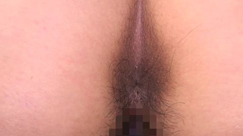 喜欢阅读的荔枝对某些猫来说是疯狂的。【ＨＤ】