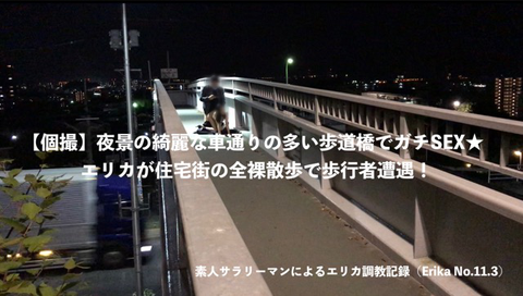 【個撮】夜景の綺麗な車通りの多い歩道橋でガチSEX★エリカが住宅街の全裸歩行で歩行者遭遇！(Erika No.11.3)