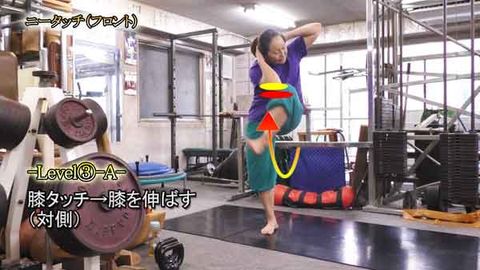 ﾆｰﾀｯﾁ（ﾌﾛﾝﾄ）(Y210731UP)