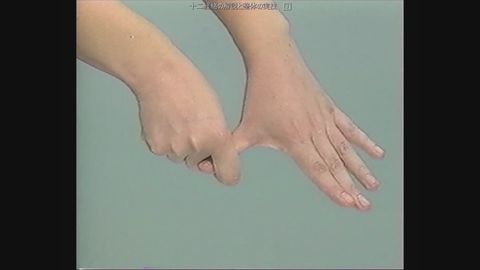 十二経絡の解説と整体実技