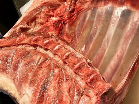 肉