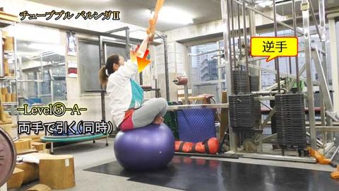 ﾁｭｰﾌﾞﾌﾟﾙﾊﾞﾙﾝｶﾞⅡ(Y210320UP)