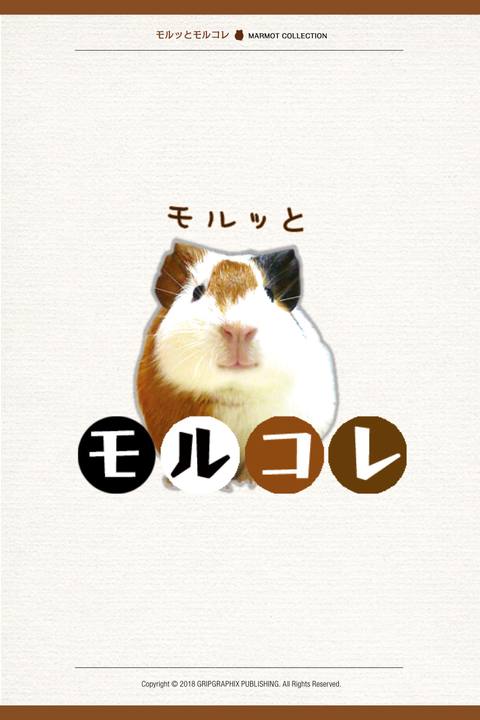 モルッとモルコレ〜可愛いモルモットが大変身！MARMOT COLLECTION 〜