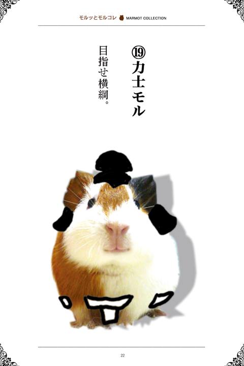 モルッとモルコレ〜可愛いモルモットが大変身！MARMOT COLLECTION 〜
