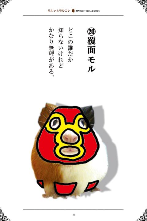 モルッとモルコレ〜可愛いモルモットが大変身！MARMOT COLLECTION 〜