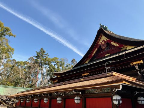 京都ぶらり撮影