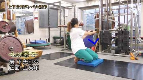 上下矢印ﾀﾞﾝﾍﾞﾙ結び(Y210925UP)