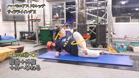 ﾊｰﾓﾆｱｽｽﾄﾚｯﾁ ｻｲﾄﾞﾗｲｲﾝｸﾞⅡ(Y211010UP)