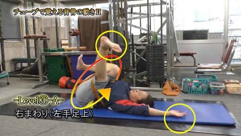 ﾁｭｰﾌﾞで覚える背骨の動きⅡ(Y211212UP)