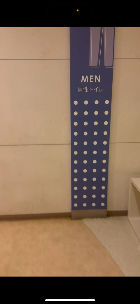 【不倫寝取られ人妻　1人で男◯トイレオナニー】　人妻　熟女　NTR　調教　露出　淫乱　変態　自慰　指マン　Tバック　アヘ顔　白目　くぱぁ