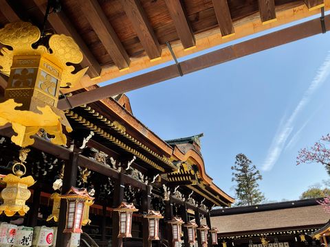 京都ぶらり撮影