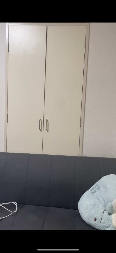 ただのソファーの動画☆