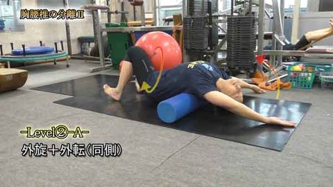 胸腰椎の分離Ⅱ(Y220206UP)