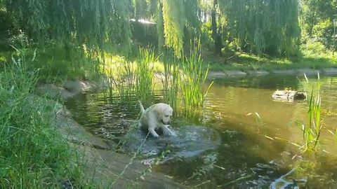 お気に入りの娯楽