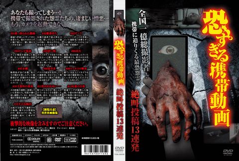 恐すぎる携帯動画　絶叫投稿13連発