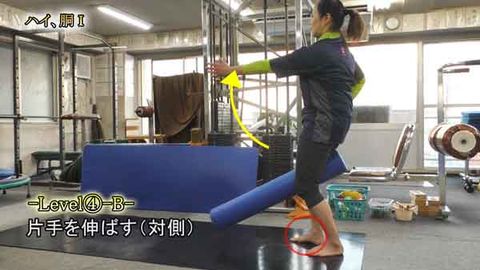 ﾊｲ・胴Ⅰ(Y220715UP)