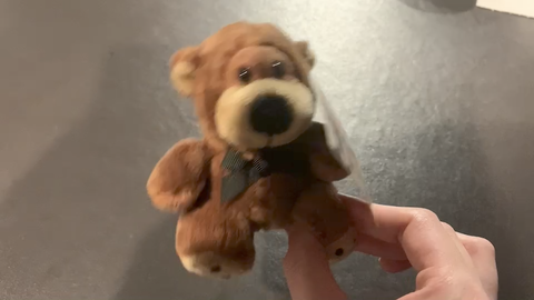 ゲーム初回特典！ある主人公が身につけるクマのぬいぐるみ