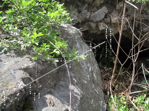 京都府京都市 - 紀行 -