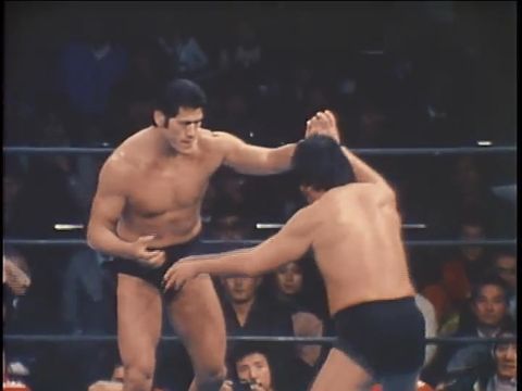 四角いジャングル　激突！格闘技