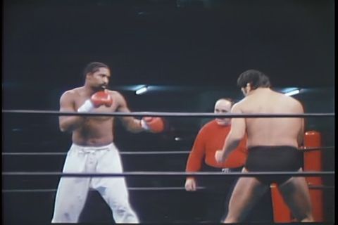 四角ジャングル　格闘技オリンピック