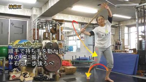 棒線Ⅲ(Y221114UP)