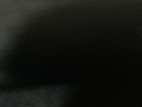アヒル
