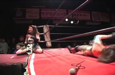 CPE　キャットファイト！　（猫）女闘美・博　－2010－　下巻