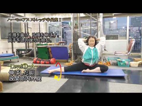 ﾊｰﾓﾆｱｽ ｽﾄﾚｯﾁ半長座Ⅰ(Y231120UP)