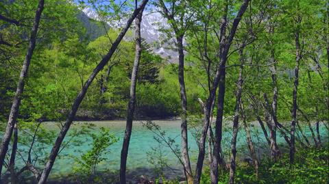 日本の絶景　緑