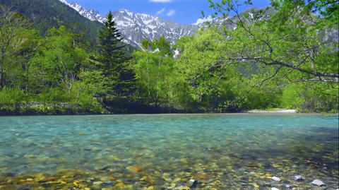 日本の絶景　緑