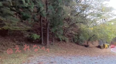 露出再開！〈素人自撮り〉大学2年！ 山道の道路沿いで全裸オナニー！服全部脱いでブーツだけになってディルドでオナニーしてたら最後に車が来てビックリ！でもスリルと開放感あって気持ちよかったです、、