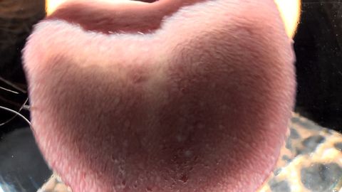 主観！バーチャルベロキス超絶長い舌の女王！！　北村玲奈