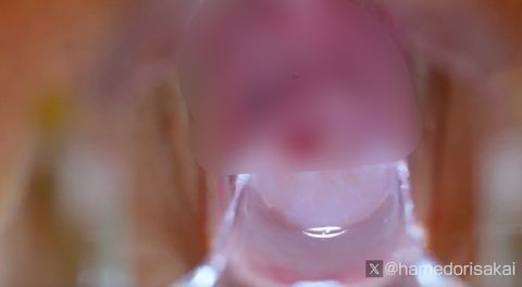 ZIP有【無】中出し後にクスコ(膣鏡)で観察  地下アイドル メイド スレンダー ひな 20歳に正常位で中出し 9作品目【サカイ】つ