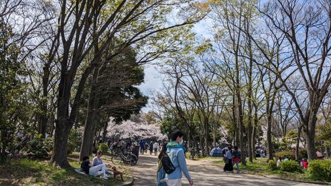 2023年の川沿い3